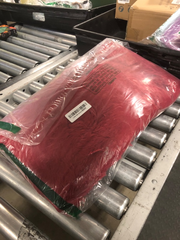 Photo 1 of BENRON Soft Runner Rugs for Bedroom 2x6, Washable Long Runners for Hallway Entryway Kitchen Dorm, Fluffy Throw Rug for Kids Girls Room Decor Photo Prop, Wine Red