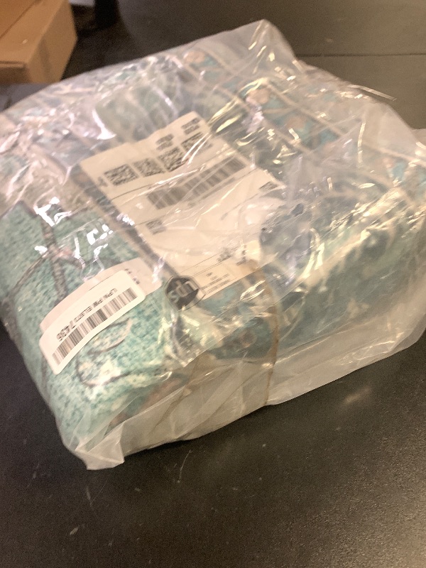 Photo 1 of RELEANY Area Rugs 4'x6' Washable Non-Slip, Floral Vintage Distress Print Pattern Medallion Carpet for Living Room Bedroom Dining Room, Teal Green Lake Blue Turquoise