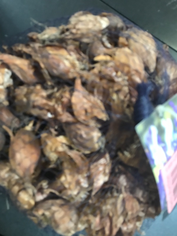 Photo 1 of 100 Dutch Iris Bulbs, Mixed-Perfect for Fall Planting! End of Season Pricing!!