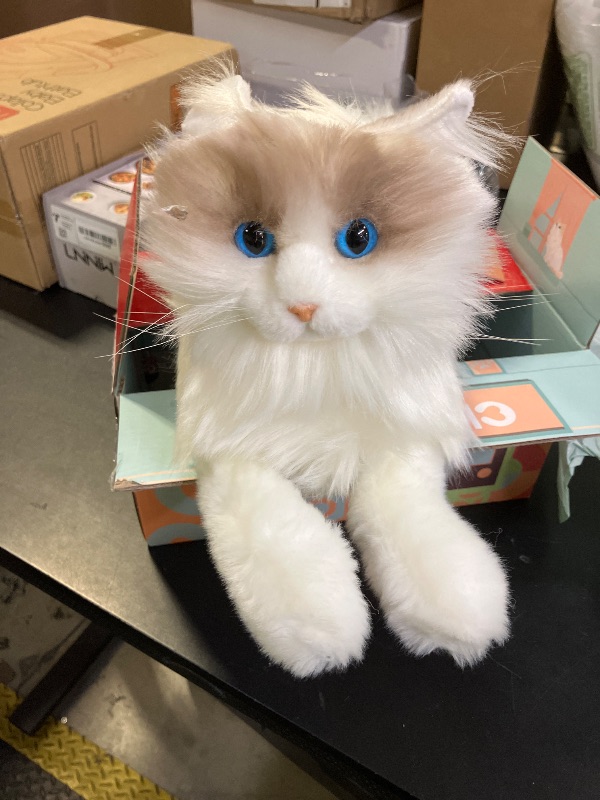 Photo 1 of WEIGHTED REALISTIC CAT PLUSH