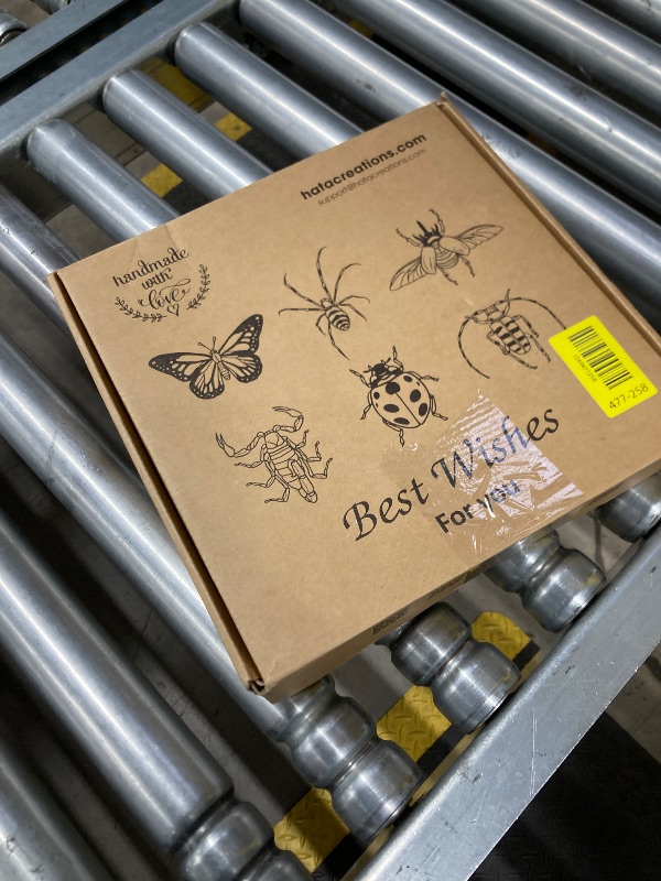 Photo 1 of ***DAMAGE -SELLING AS IS *** Real AtlasMoth Butterfly Dead Insect Dried Bug Lover Shadow Box Gifts for Women Taxidermy Oddity Collectables Specimen Decoration Tabletop Wall Room Art Home Decor Living Gallery K26-35-DE