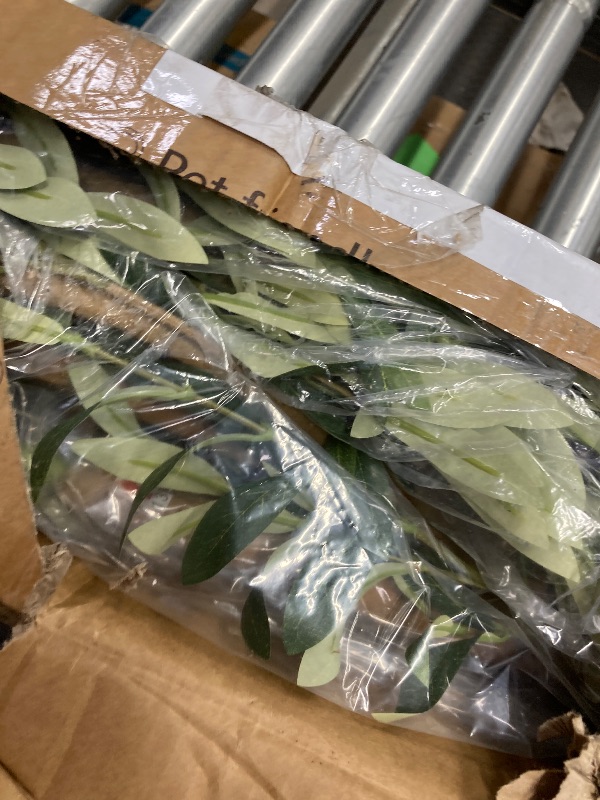 Photo 1 of 2 Pack 6 ft Artificial Olive Plants with Realistic Leaves and Natural Trunk, Silk Fake Olive Tree in Black Plastic Pot, Faux Olive Tree for Office Home