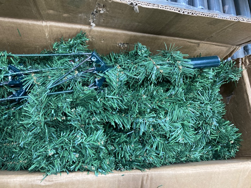 Photo 1 of  Christmas Tree 