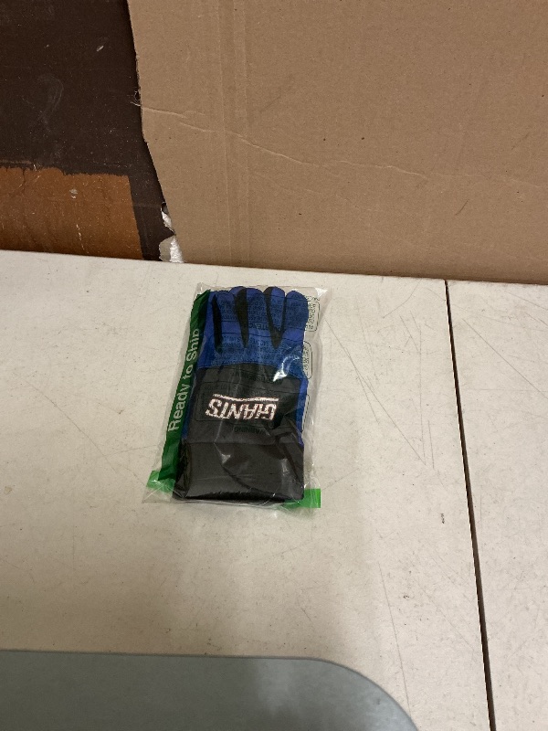 Photo 1 of FOCO New York Giants NFL Palm Logo Texting Gloves