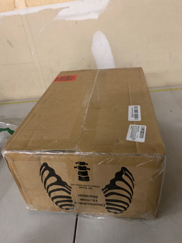 Photo 1 of Houseables Disarticulated Human Skeleton, Human Skeleton Model for Anatomy, Anatomy Model, Anatomically Correct, Physiology Bones, Skeletal System, Full Life Size, Anatomical, Study, Class, 62” Height