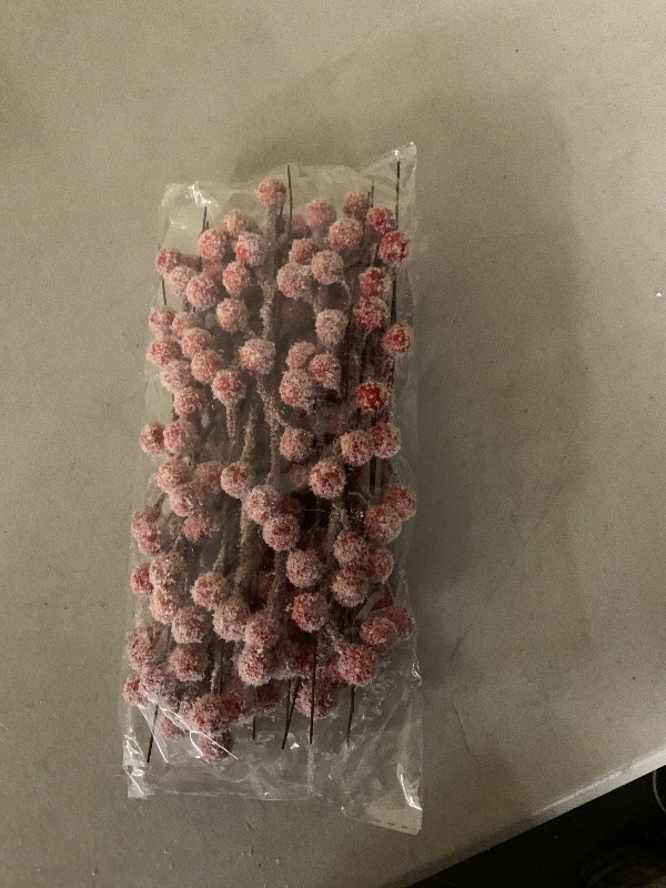Photo 1 of 24 Pieces Artificial Holly Berry Stems 9" Christmas Berry Picks Sprays Snowy Fake Red Berries for Christmas Tree Branches Fillers Ornaments Valentine DIY Crafts Wedding Home Party Winter Decor (24)