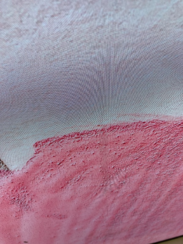 Photo 1 of LG G3 Series 65-Inch Class OLED evo 4K Processor Smart Flat Screen TV for Gaming with Magic Remote AI-Powered Gallery Edition OLED65G3PUA, 2023 with Alexa Built-in