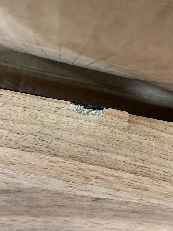 Photo 1 of (see images for damage) Correll 36"x72" Rectangular Classroom Activity Table, Height Adjustable (19"-29"), Medium Oak Durable Thermal Fused Laminate, School Furniture, Made in The USA