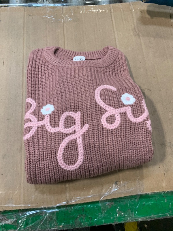 Photo 1 of ** SIZE 2-3Y** ROSE**Toddler Girl Big Sister Embroidered Knit Sweater Long Sleeve Pullover Sweatshirt Fall Winter Clothes
