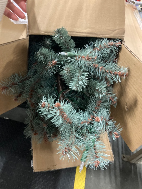 Photo 1 of ***1 missing*** Christmas Time 3-Ft. Prelit Yardville Pine Accent Tree in Burlap Bag, Warm White LED Lights, Set of 2, CT-YV042-LED/S2, Green