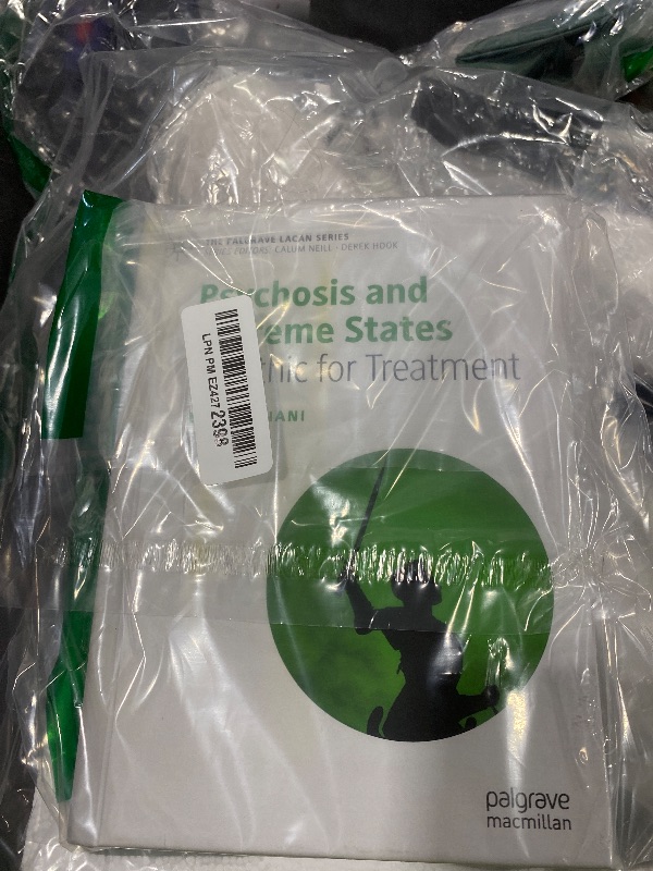 Photo 1 of Psychosis and Extreme States: An Ethic for Treatment (The Palgrave Lacan Series)