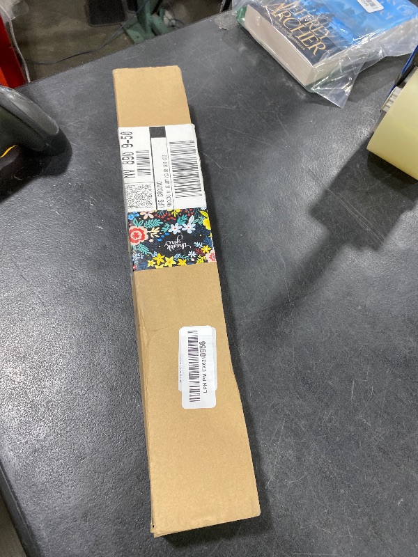 Photo 1 of 120 PCS Blue Dried Pampas Grass Decor, 17-inch Pompas Floral, Dry Flowers for Decoration, Pampas Grass in Bulk Tall, Blue Bunny Tails Dried Flowers for Boho Wedding Decor