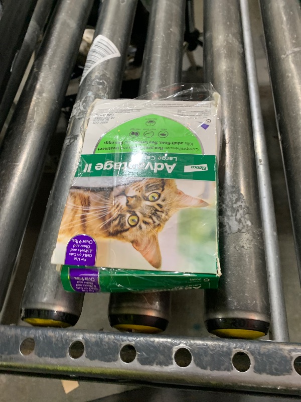 Photo 1 of Advantage II Large Cat Vet-Recommended Flea Treatment & Prevention | Cats Over 9 lbs. | 6-Month Supply