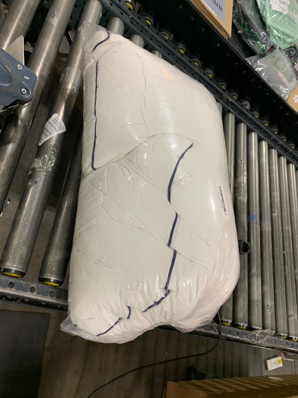 Photo 1 of Yalamila Luxurious Goose Down Bed Pillows King Size Set of 2