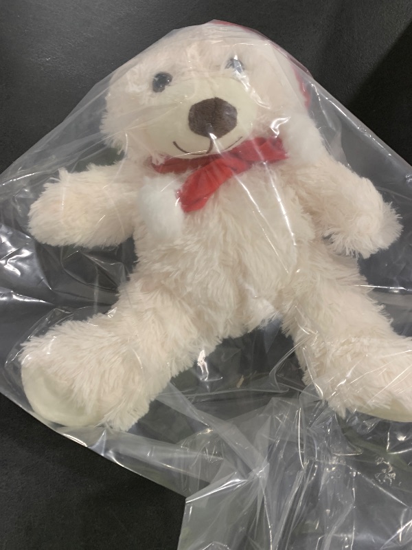 Photo 1 of teddy Bear