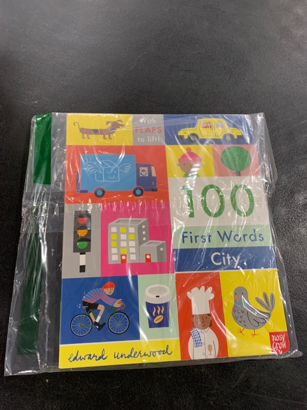 Photo 1 of 100 First Words: City: With Flaps to Lift