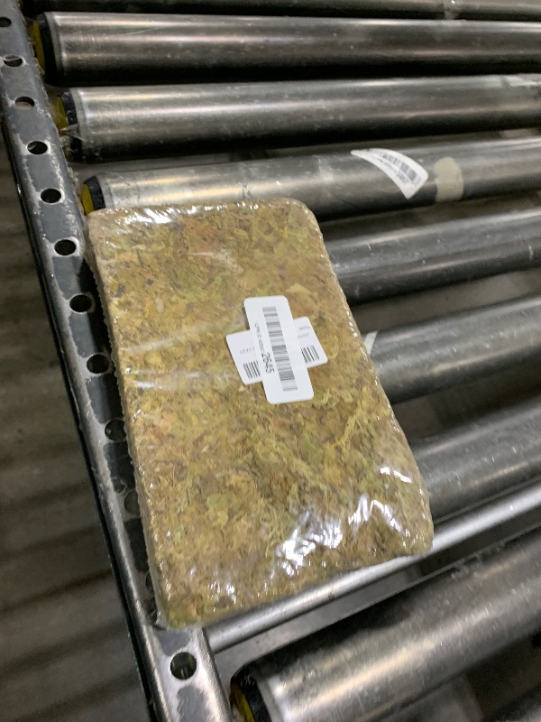 Photo 1 of ZeeDix Forest Moss for Plants Indoor, 8oz Dried Orchid Moss for Repotting, Natural Green Sphagnum Moss for Potted Plants Carnivorous Monstera Succulents Crafts Reptile Habitat (Expands to 12QT)