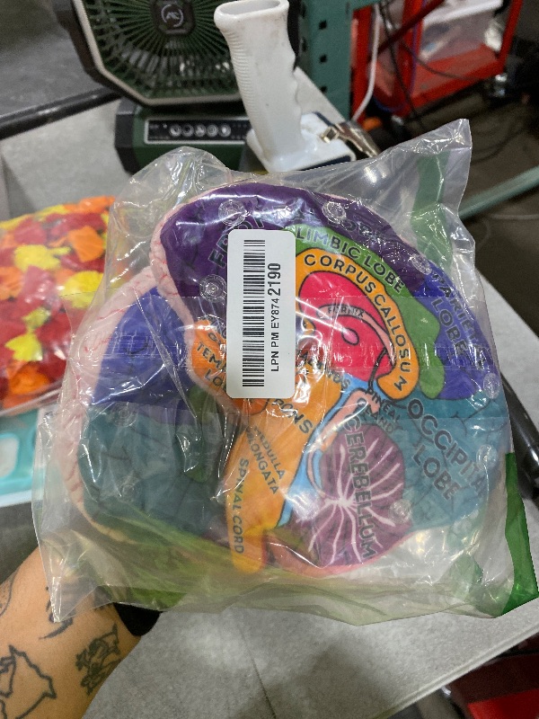 Photo 1 of GIANTmicrobes Brain Model, Human Brain Anatomy Model, Brain Model for Kids, Brain Model for Neuroscience, Brain Model for Teaching, Brain Model for Psychology, 3D Brain Model, Brain Anatomy Toy