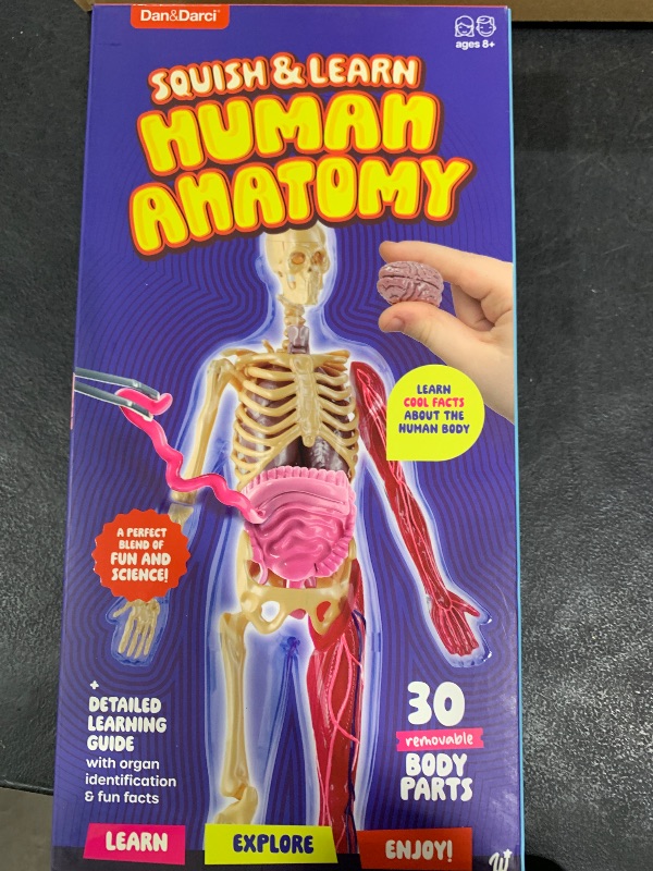Photo 1 of Dan&Darci Human Anatomy Squishy Body Model - Science Kits for Kids Ages 4-8 - STEM Toys for 4 5 6 7 8 Year Old Boy Birthday Gift - Learning Educational Toys for Ages 5-7 Boys Gifts - Skeleton Parts