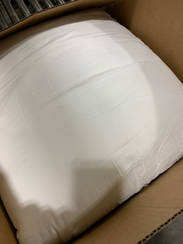 Photo 1 of MIULEE 20x20 Pillow Inserts, Fluffy Down Alternative Filling Pack of 2 Ultra Soft Throw Pillows for Sofa Couch Bed