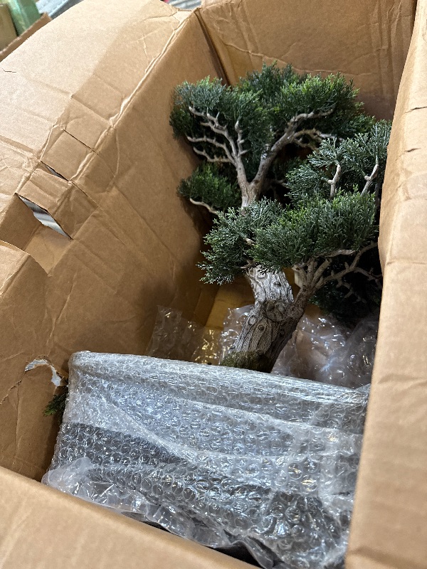 Photo 1 of Nearly Natural 4103 24in. Cedar Bonsai Silk Plant,Green