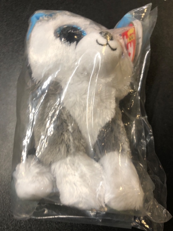 Photo 1 of Slush - Dog Reg
