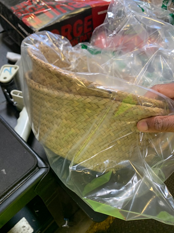 Photo 1 of BrilliantJo Seagrass Belly Basket, Set of 2 Woven Plant Pot Holder handmade Home Decor for Storage Plants Picnic Grocery Medium(10.63 x 9.44 inch)
