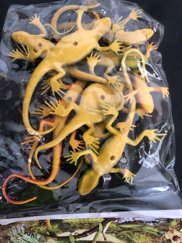 Photo 1 of Kvvdi 12pcs 5 Inch Colorful Fake Plastic Lizard Toys Action Figure Reptile Toy Lizards Realistic Favors