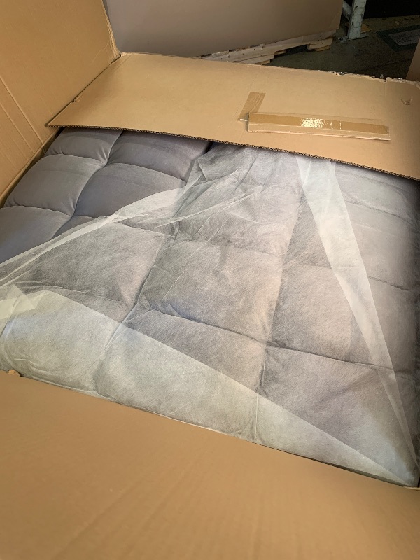 Photo 1 of 3 in 1 Convertible Sleeper Sofa Bed, Futon Couches for Living Room with Side Pocket | Adjustable Backrest| Velvet Fabric | Pull Out Couch | Love-seat sofa| Sectional Sofa Bed| 2-seat sofa bed
