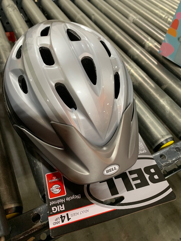 Photo 1 of BELL Adult Silver Ti Fang Rig Helmet, Silver Titanium Fang (7107135)