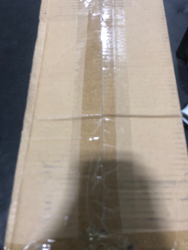 Photo 1 of LPNPMEQ1048143
