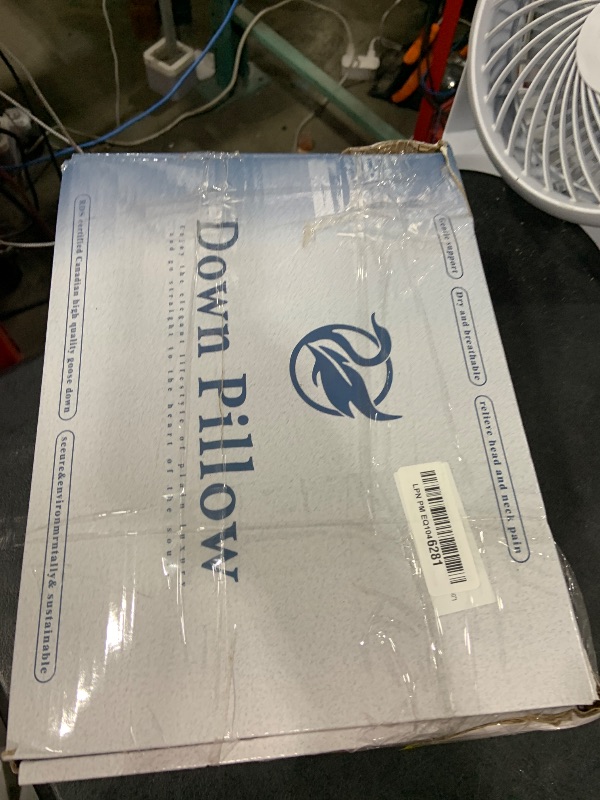 Photo 1 of LIANLAM Luxury Canadian White Goose Down Pillow Set of 2-(1 Pack, 21"x31")