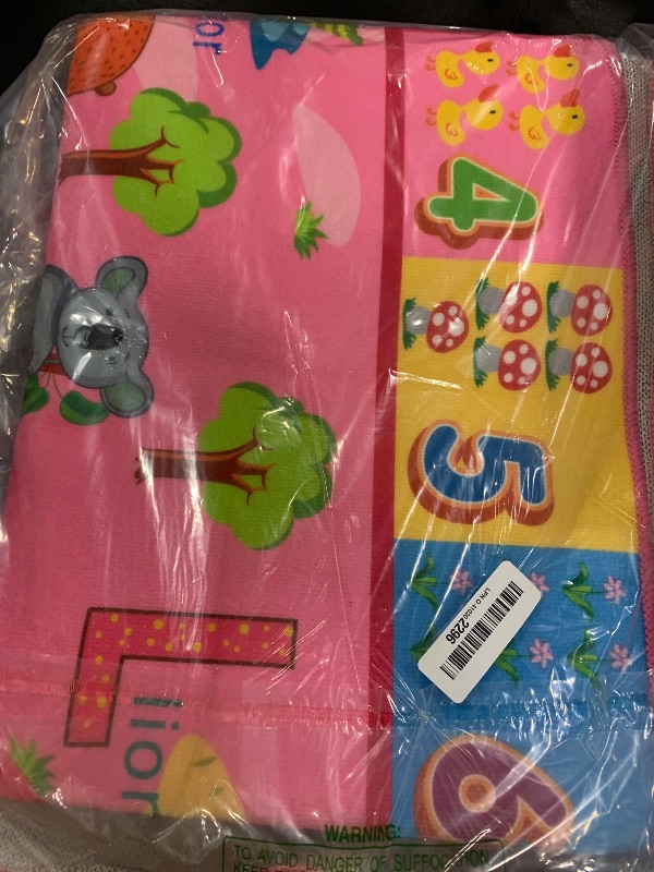 Photo 1 of Terrug Kids Rug for Playroom, Educational Classroom Rug for Kids Room, Washable Nursery Rugs Non Slip Playroom Rugs Play Mat for Learning ABC Carpet, Numbers, Animal, Colors, Season, 4X6 Feet, Pink