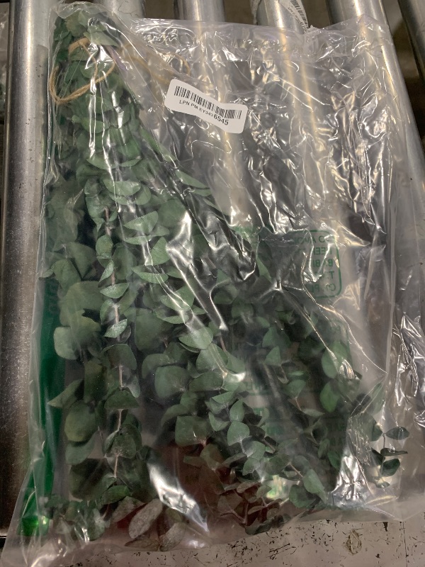 Photo 1 of 10 Pcs Dried Eucalyptus Stems 17" Real Eucalyptus for Shower Hanging 100% Made from Fresh Leaves, Wedding, Home, Farmhouse, DIY Spring Decor Bathroom Decor Home DecorLPNPMEY3436545
