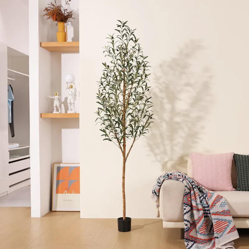 Photo 1 of ***********PHOTO REFERENCE****** OLIVE TREE 210CM/7FT