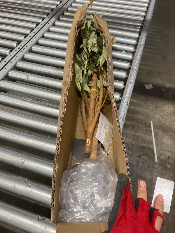 Photo 1 of Ft Artificial Olive Plants with Realistic Leaves and Natural Trunk Silk Fake Potted Tree with Wood Branches and Fruits Faux Olive Tree for Office