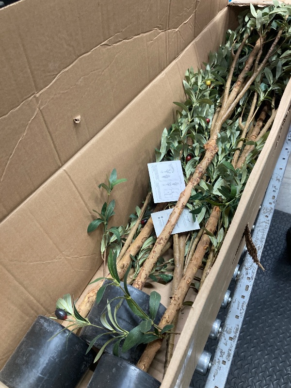 Photo 1 of *Box of 3* - 5 ft Artificial Olive Plants with Realistic Leaves and Natural Trunk, Silk Fake Olive Tree in Black Plastic Pot, Faux Olive Tree for Office Home