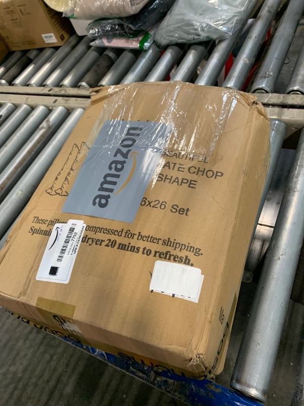 Photo 1 of ***ONLY ONE PILLOW****basic home 26x26 Euro Throw Pillow Inserts-Down Feather Pillow Inserts-Cotton Fabric-Set of 2-White.