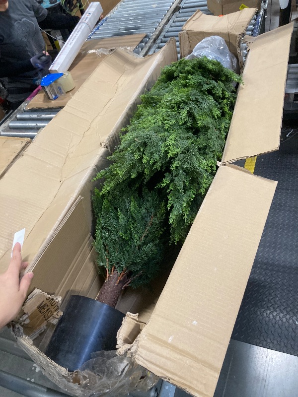 Photo 1 of ****SIMILAR PRODUCT*** ATLIKE 2Pcs Artificial Cedar Christmas Tree, 90cm/3ft inch Faux Plants Cypress Trees with Flowerpot Potted Cedar Fake Outdoor Planter Topiary Bushes Plants for Christmas Front Porch Decor Offices