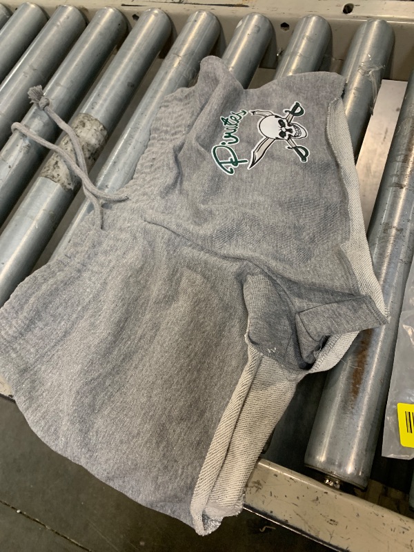 Photo 1 of **SIMILAR**Concepts Sport Women's Gray Arizona Cardinals Mainstream Terry Shorts