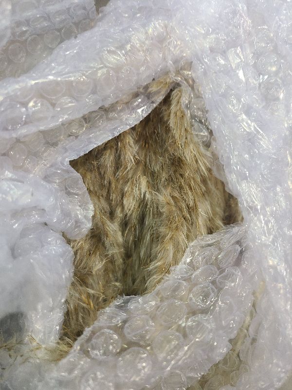 Photo 1 of 110 PCS Dried Pampas Grass Bouquet, Boho Table Decor, Bunny Tails Dried Flowers, Brown Pompas, White Pampas Grass for Wedding, Home, Rustic Party, Baby Shower Decorations