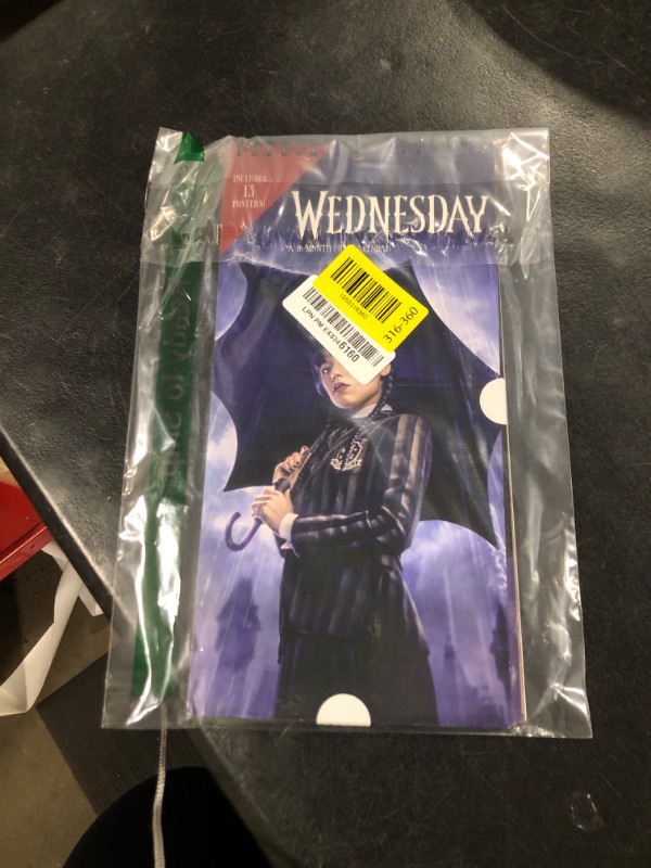 Photo 1 of 2025 Wednesday Mini Poster Calendar