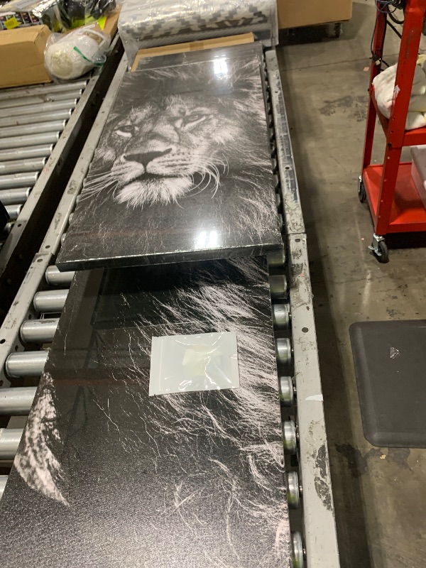 Photo 1 of LION WALL ART 3 PC SET