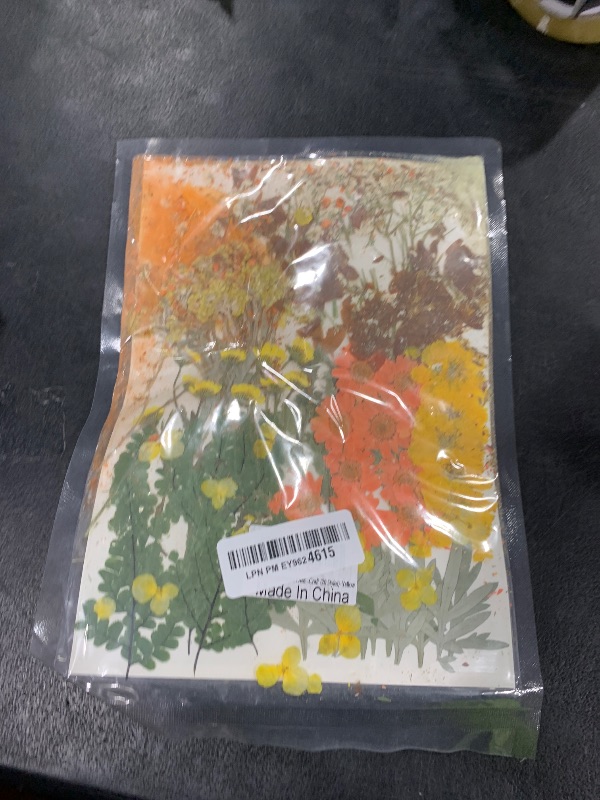 Photo 1 of 100 PCS Real Dried Pressed Flowers Leaves Natural Plant Herbarium for DIY Resin Mold Jewelry Making Craft (20 Styles)-Fall Yellow Orange