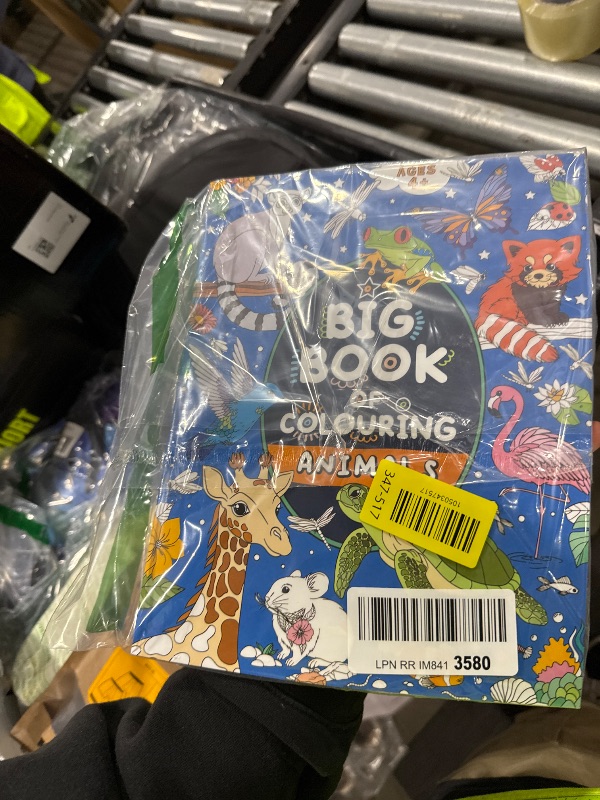 Photo 1 of Big Book of Colouring: Animals: For Children Ages 4+ (Big Books of Colouring (Ages 4+))