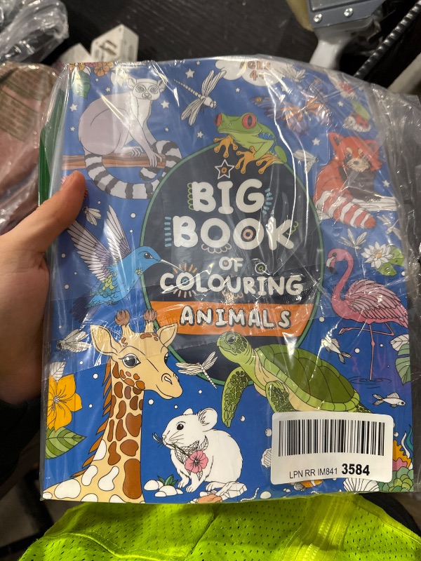 Photo 1 of Big Book of Colouring: Animals: For Children Ages 4+ (Big Books of Colouring (Ages 4+))