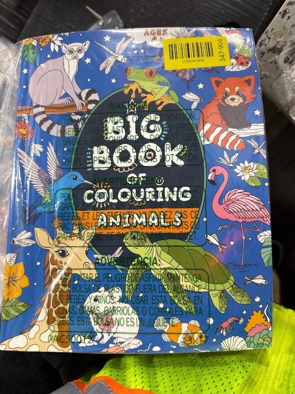 Photo 1 of Big Book of Colouring: Animals: For Children Ages 4+ (Big Books of Colouring (Ages 4+))