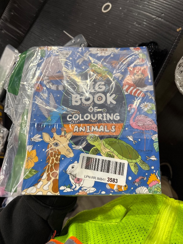 Photo 1 of Big Book of Colouring: Animals: For Children Ages 4+ (Big Books of Colouring (Ages 4+))