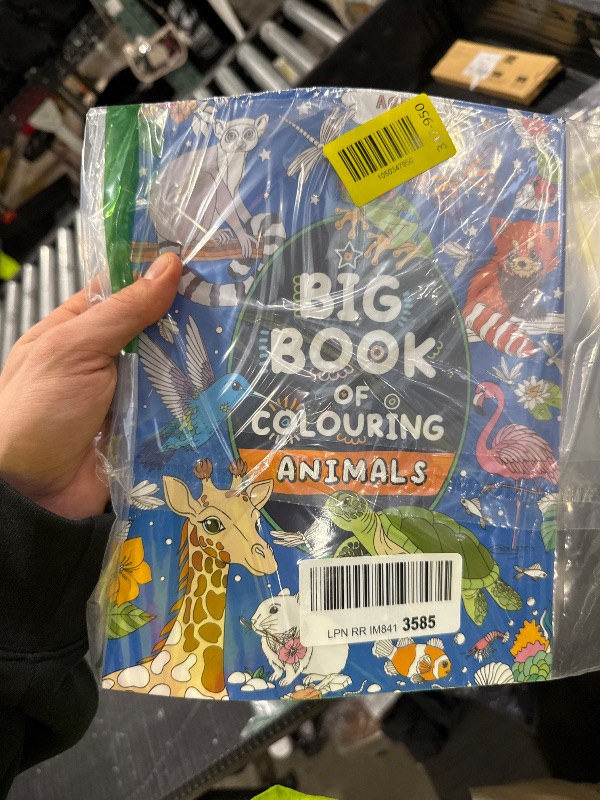 Photo 1 of Big Book of Colouring: Animals: For Children Ages 4+ (Big Books of Colouring (Ages 4+))