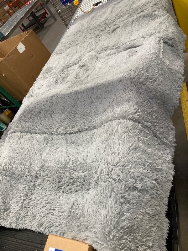 Photo 1 of ***LIGHT STAINS ON BACK ONLY OF CARPET***SHAGGY Area Rug, 5' x 8'***LIGHT STAINS ON BACK ONLY OF CARPET***